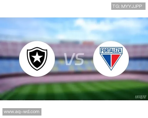 戈亚尼恩斯与博塔弗戈的激烈对决谁将赢得这场巴西足球盛宴